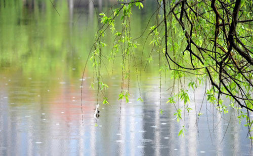 雨中的鋼鐵之歌 —— 東潤利達鋼材產(chǎn)品的雨季故事