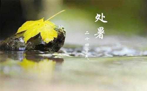 【東潤(rùn)利達(dá)物資·處暑鋼韻，筑夢(mèng)未來(lái)】